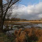 Herbe Landschaft