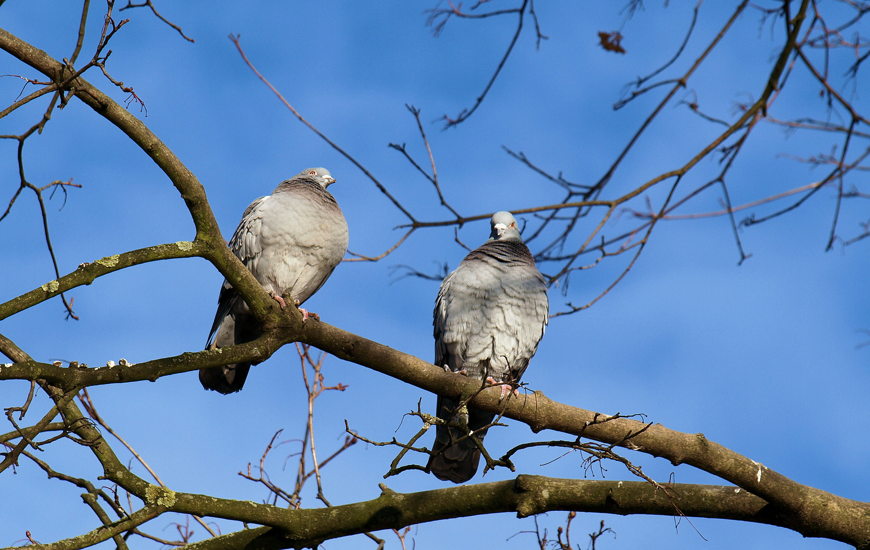 Herbert guck mal die fotografiert uns doch .... ruf unseren Anwalt an ...