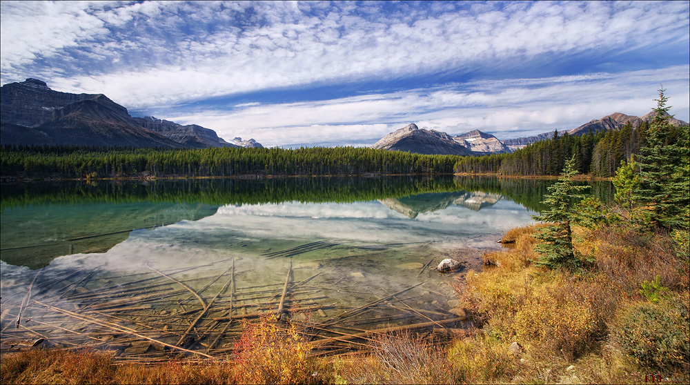 Herbert Lake /2/