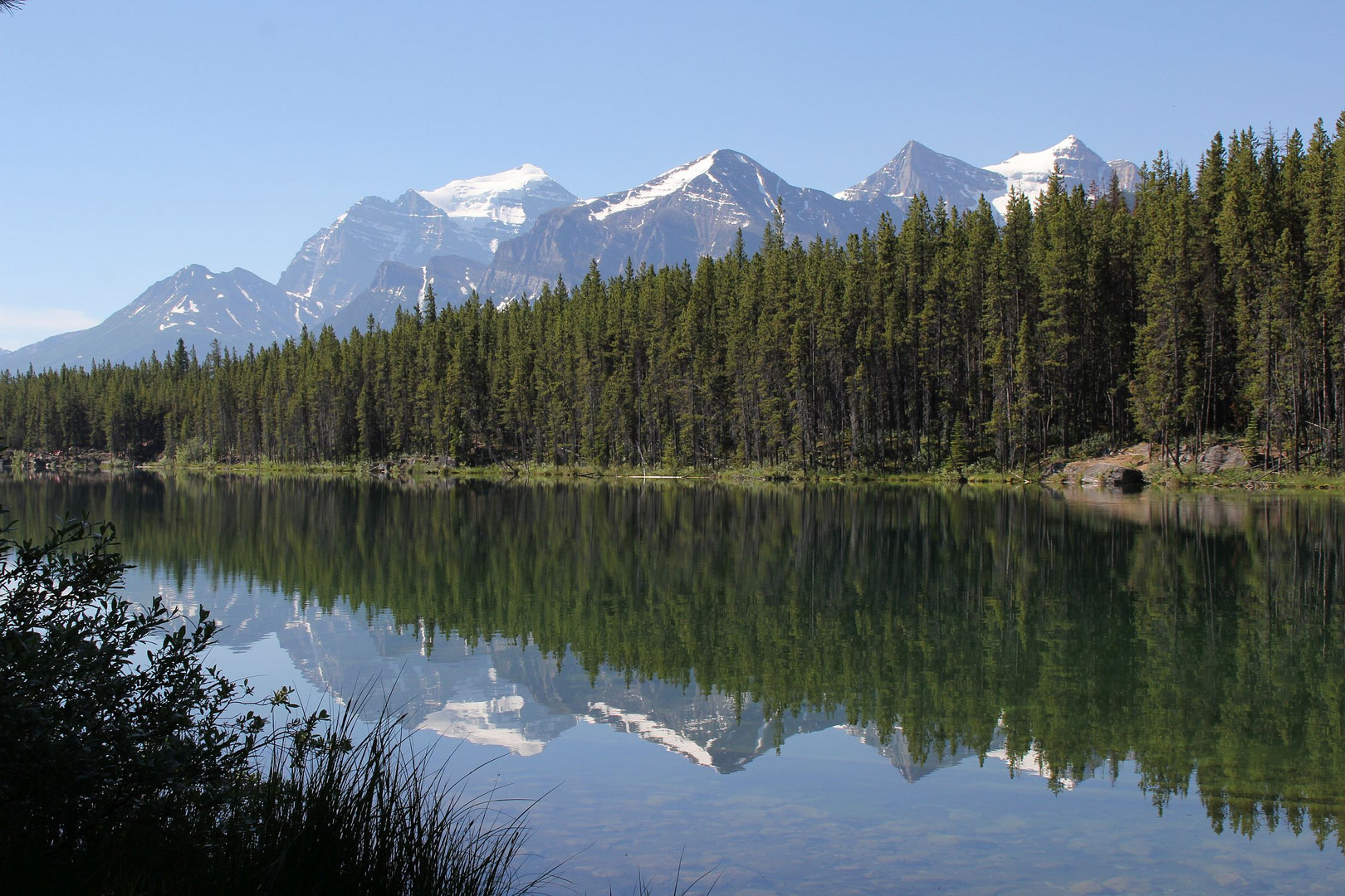 Herbert Lake....