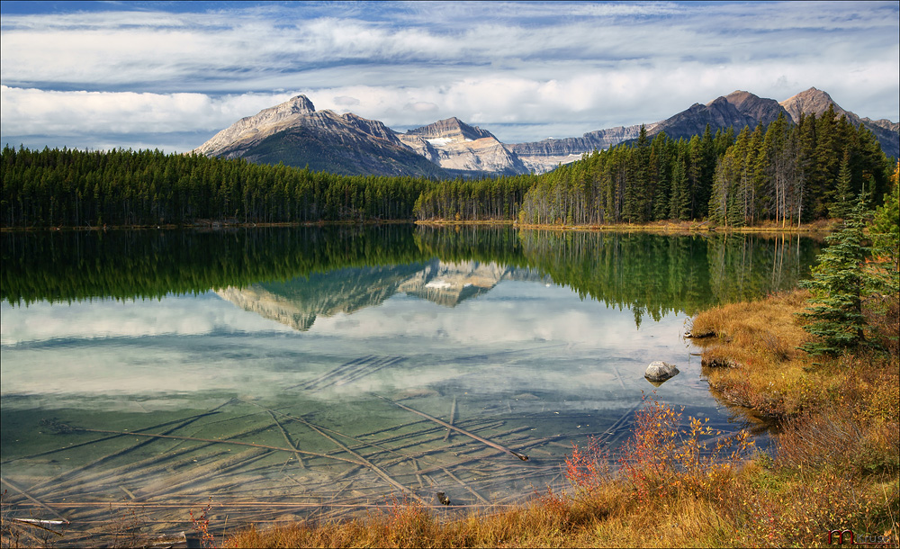 Herbert Lake /3/