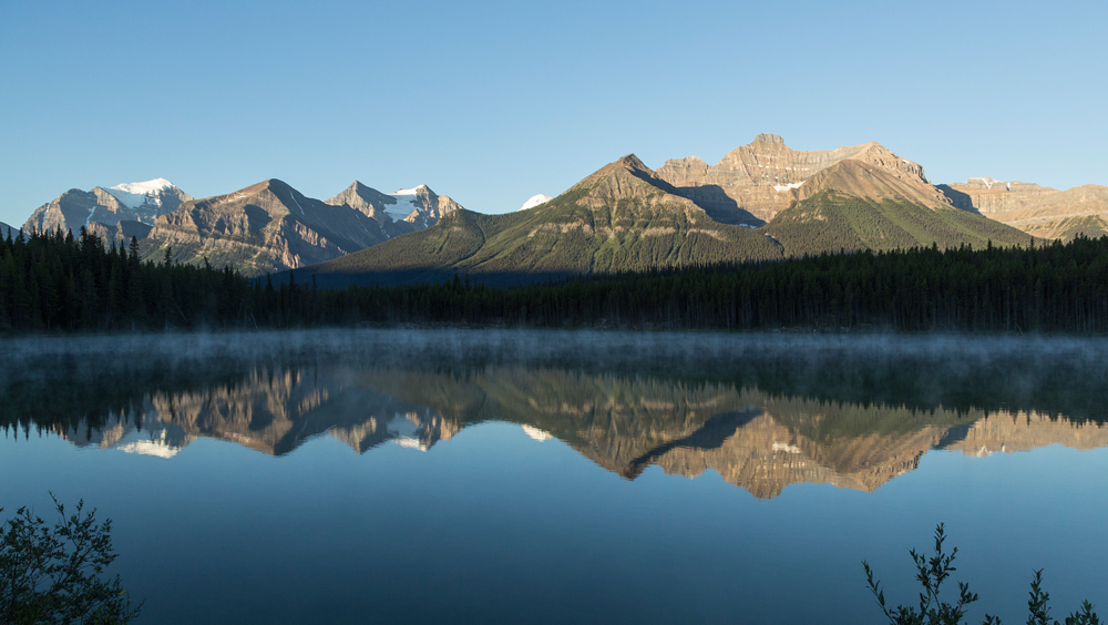 Herbert Lake