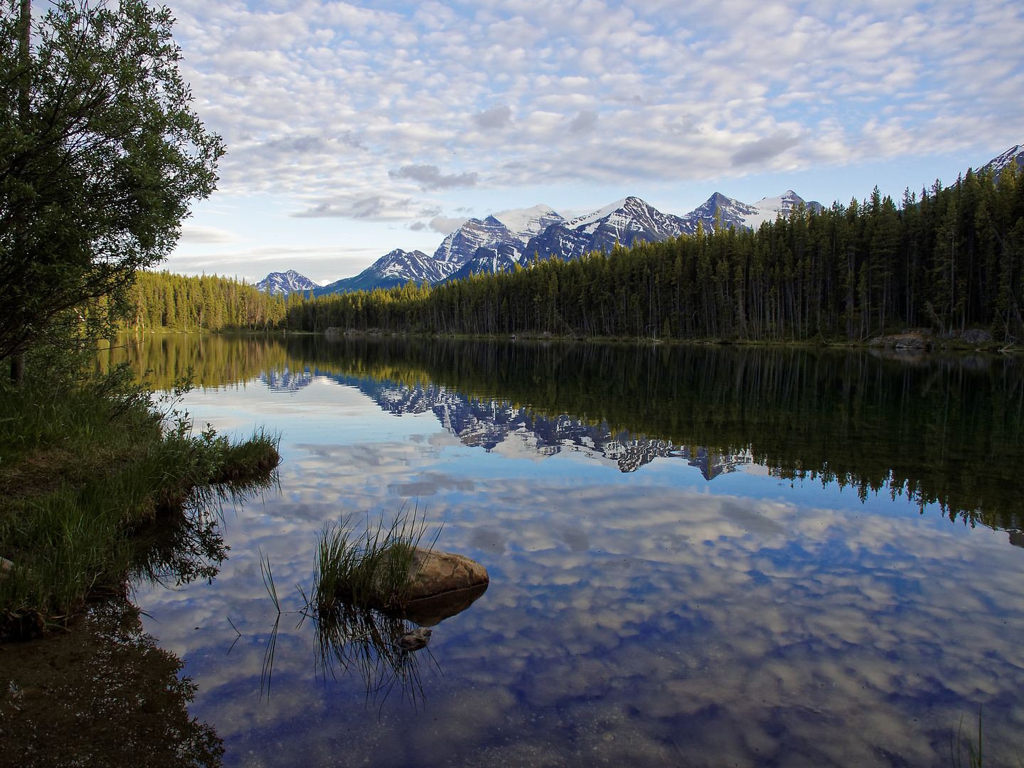 Herbert Lake