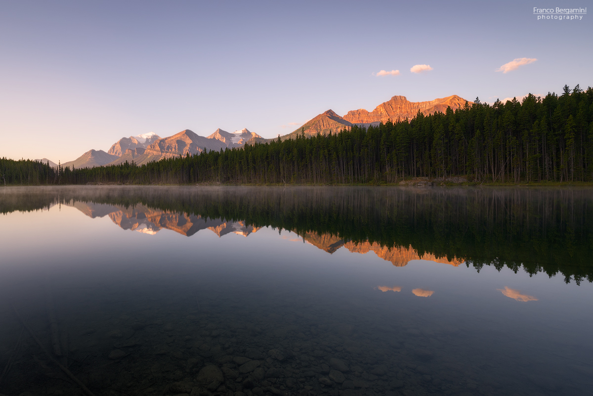 Herbert Lake