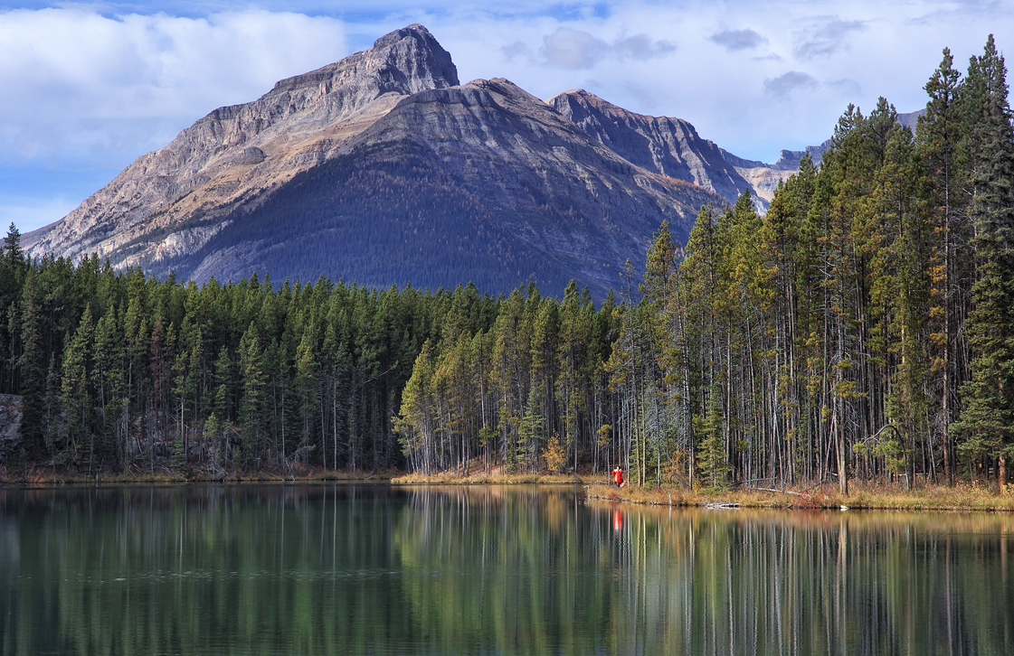 *Herbert Lake*