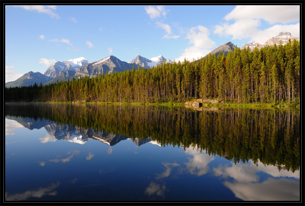 Herbert Lake