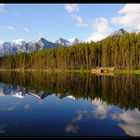 Herbert Lake