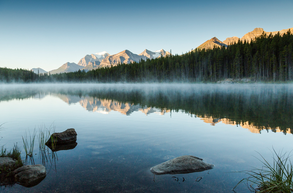 Herbert Lake II