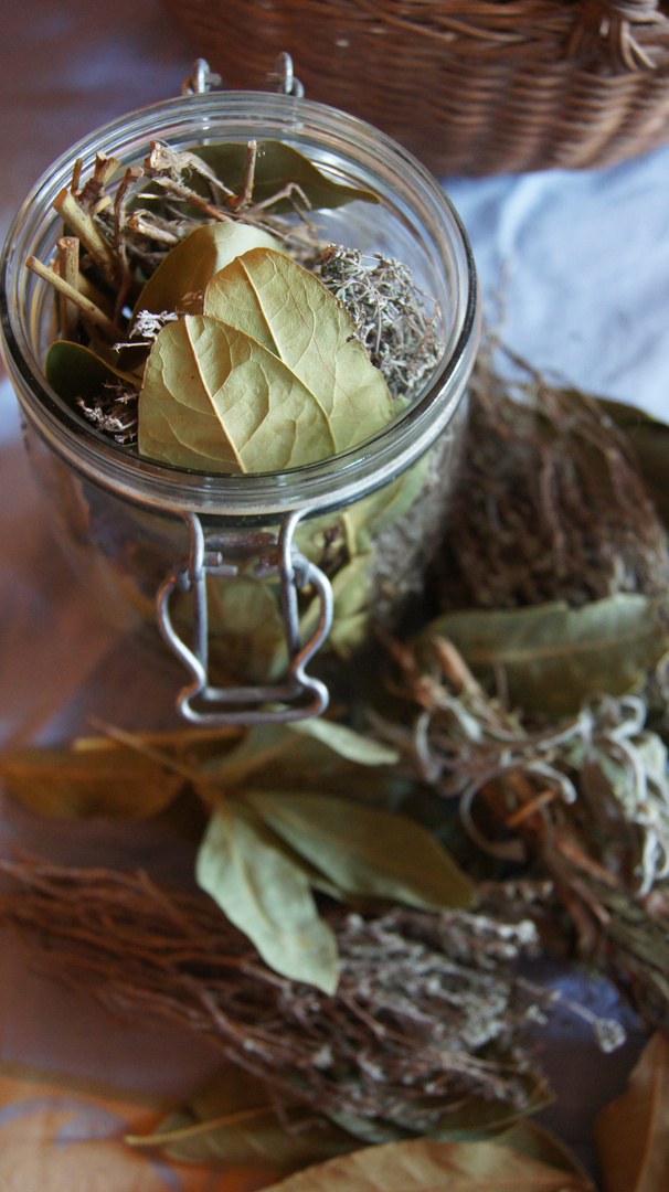 herbes de provence,du jardin!!