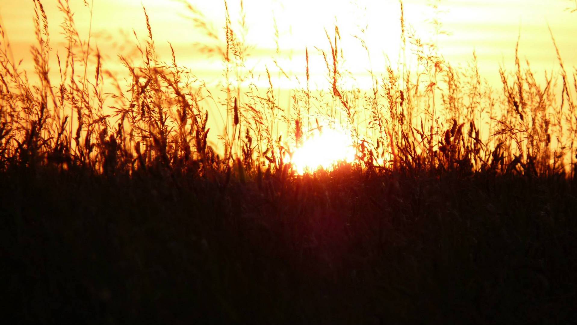 herbes enflammées