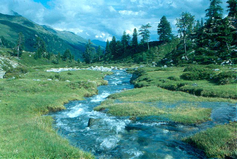 " Herbes Tauerntal"