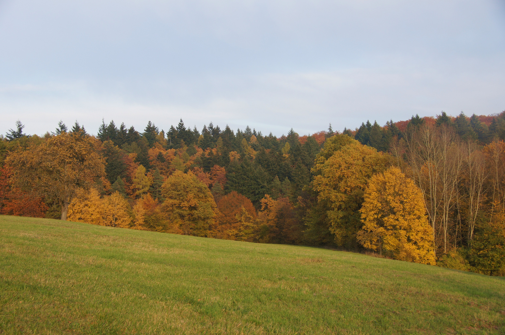 Herbest in Eichelberg 01