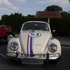 Herbie