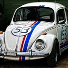 Herbie