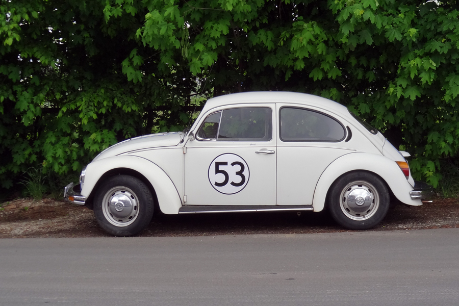 Herbie 53