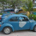 Herbie in Mexico