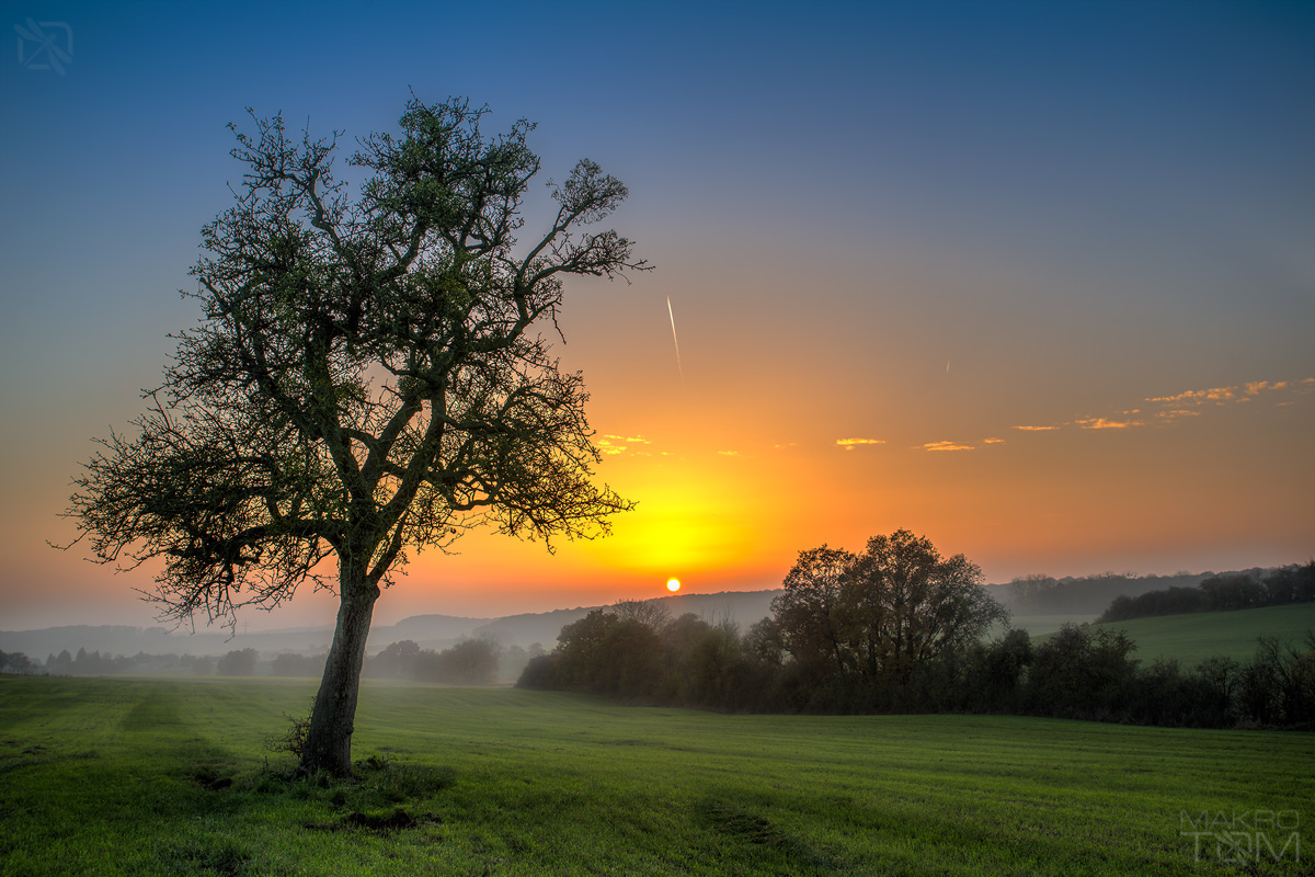 Herborn-Luxembourg