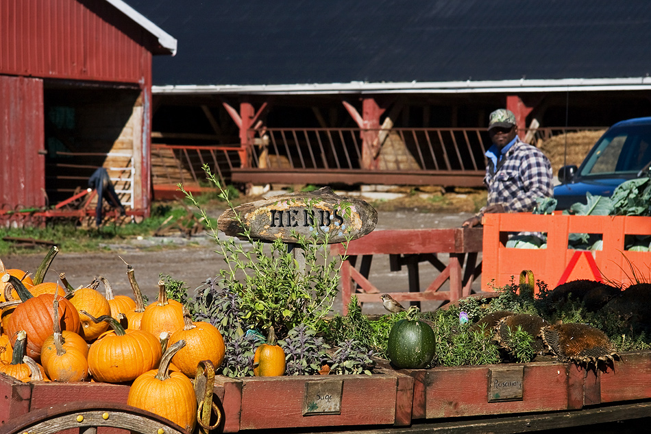 HERBS im Herbst