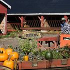 HERBS im Herbst