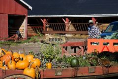 HERBS im Herbst