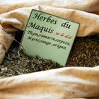 herbs maquis