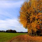 Herbscht uf der Alb isch wunderschee,,