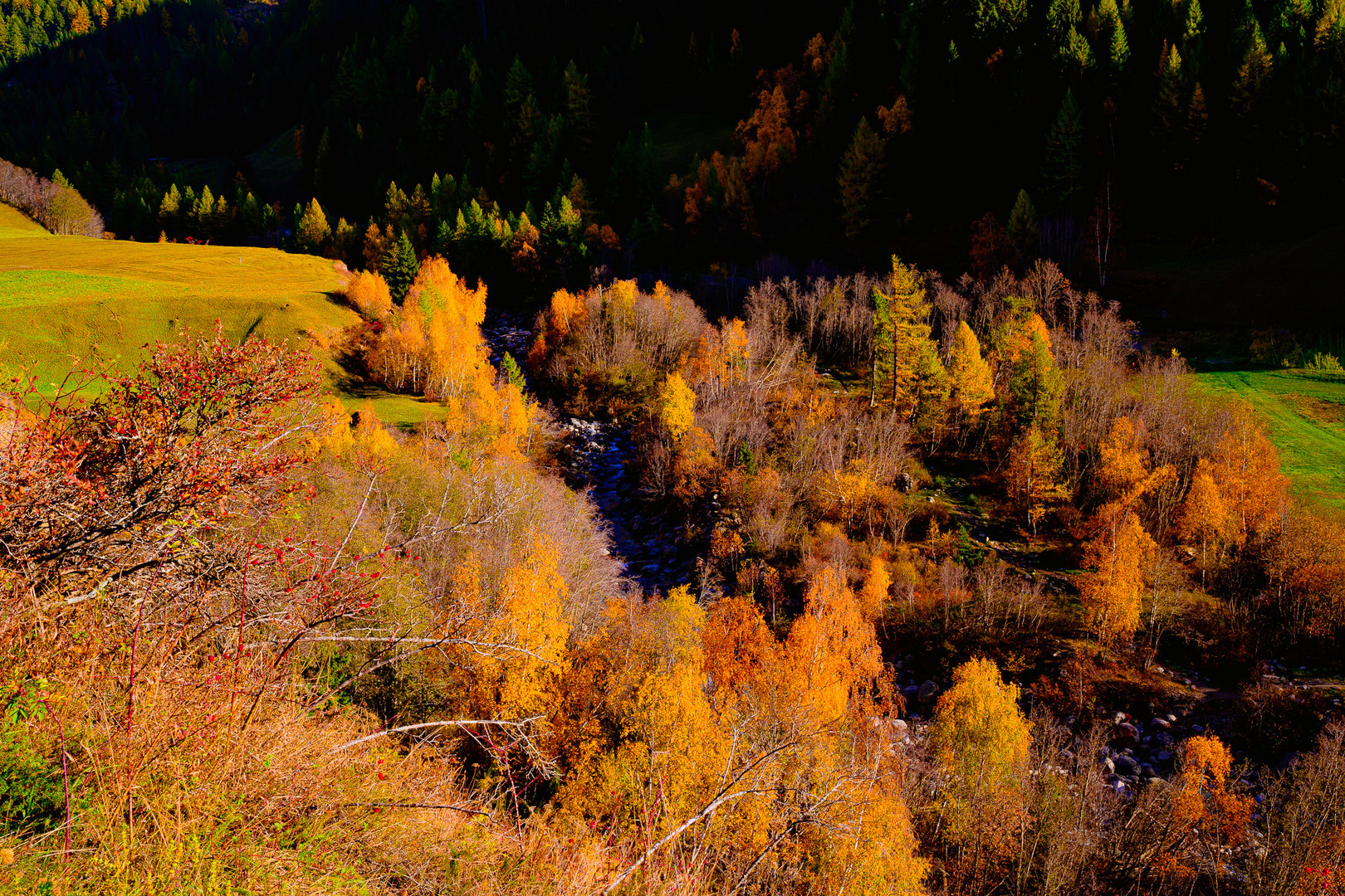 Herbsfarben im Binntal