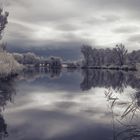 Herbslebener Teiche II [IR]