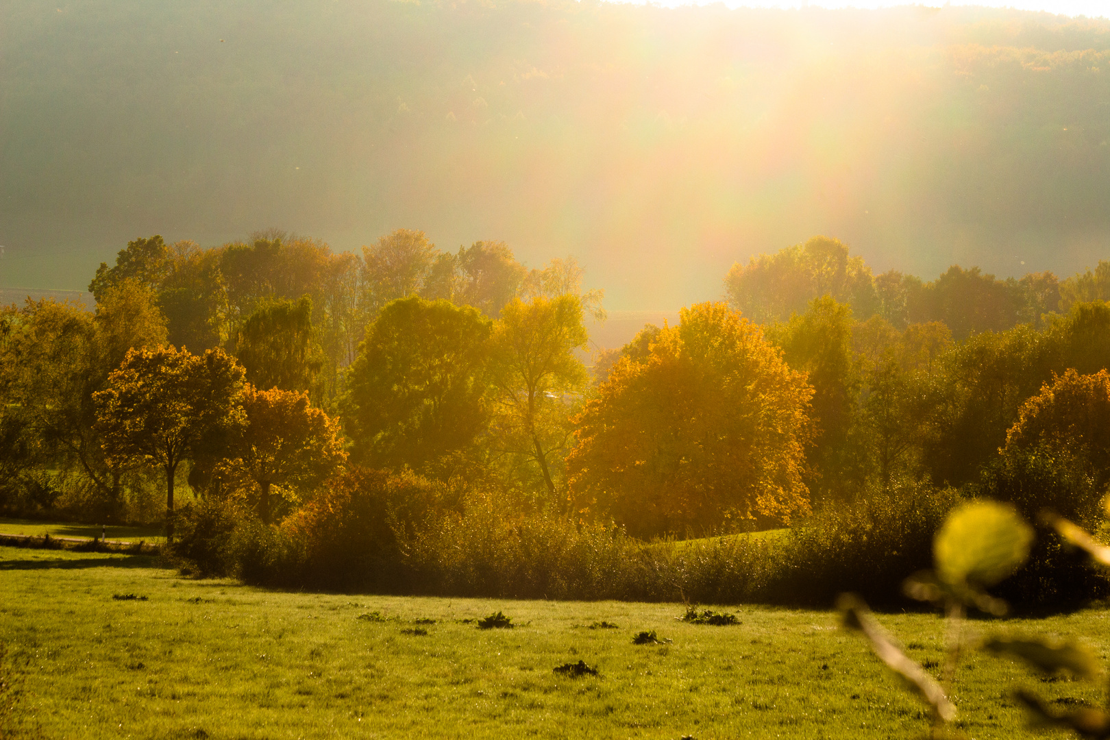 herbsliches Abendlicht