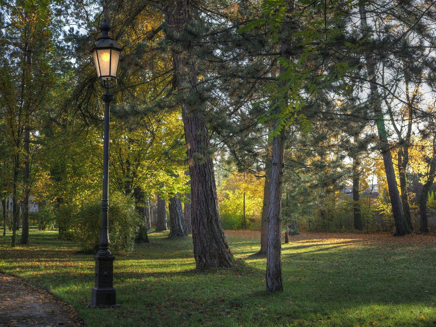 Herbsliches Abendlicht im Schloßpark