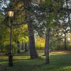 Herbsliches Abendlicht im Schloßpark