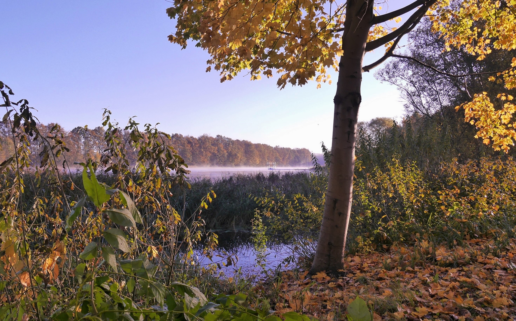 Herbsruhe am Badesee