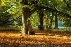 Bremen Herbst