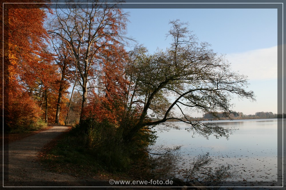 Herbsstimmung am Hecklerweiher bei Blitzenreute.