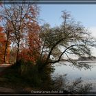 Herbsstimmung am Hecklerweiher bei Blitzenreute.