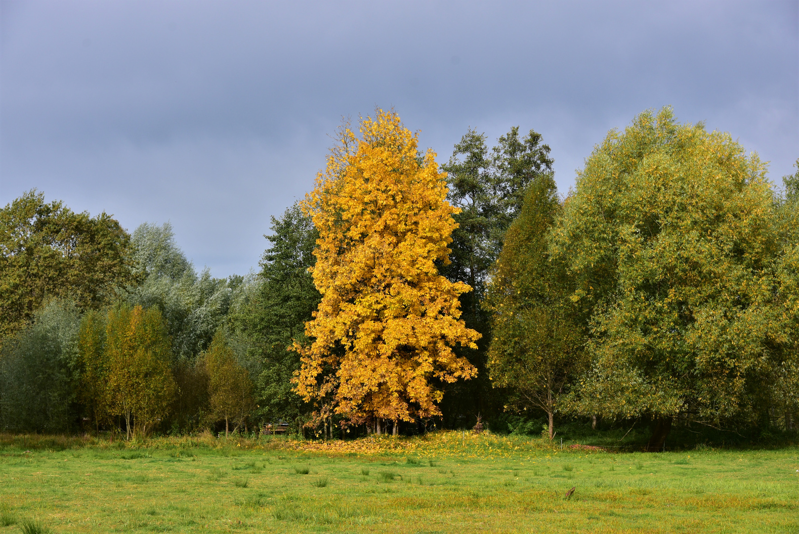 Herbsstimmung im Spreewald