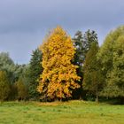 Herbsstimmung im Spreewald