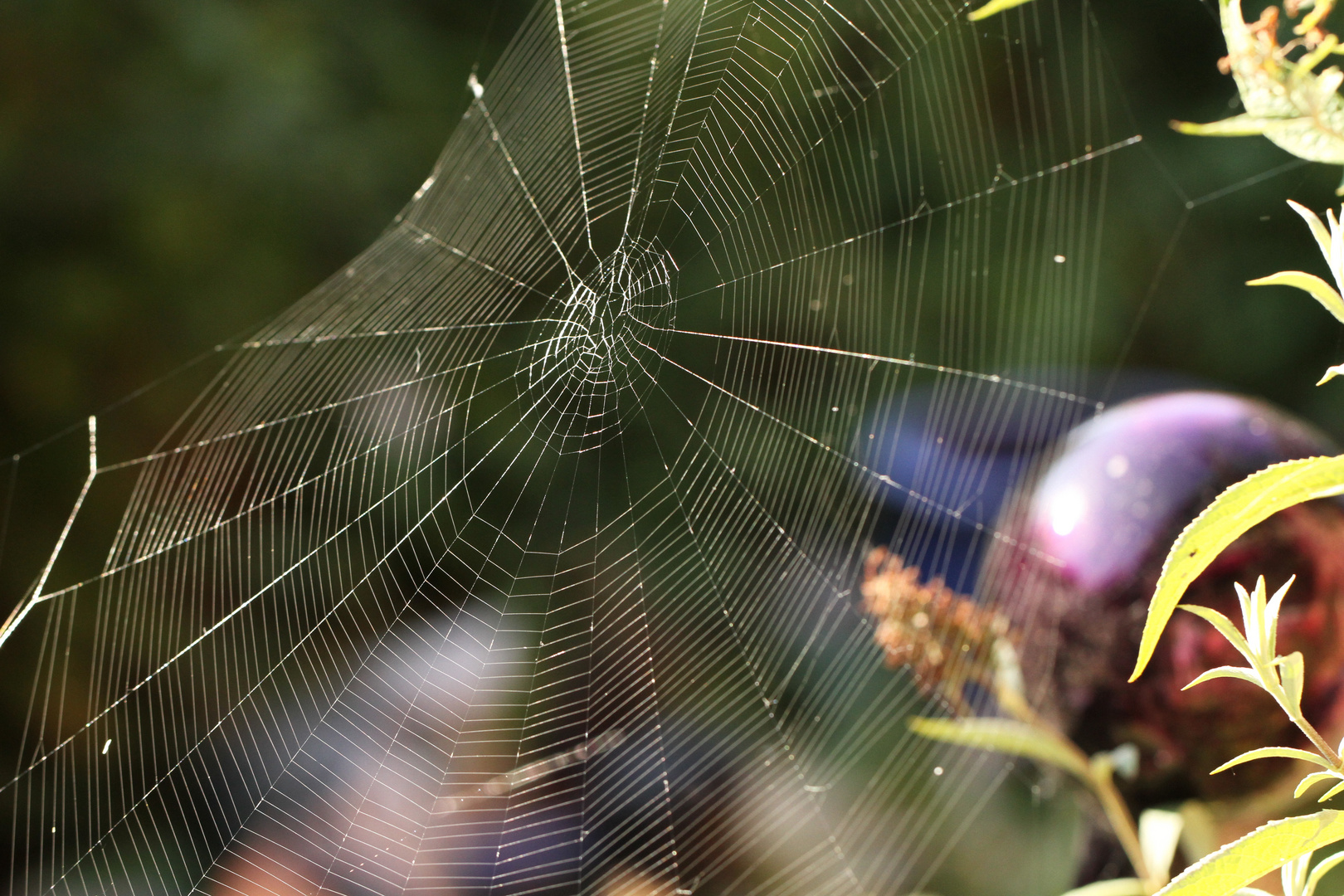 Herbst