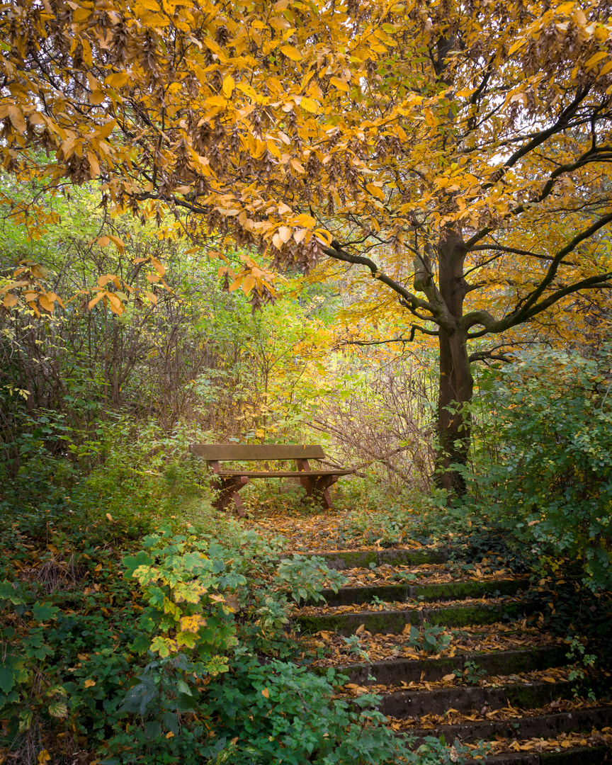 Herbst