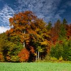 Herbst 01