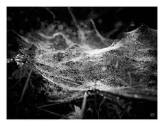 Herbst 02