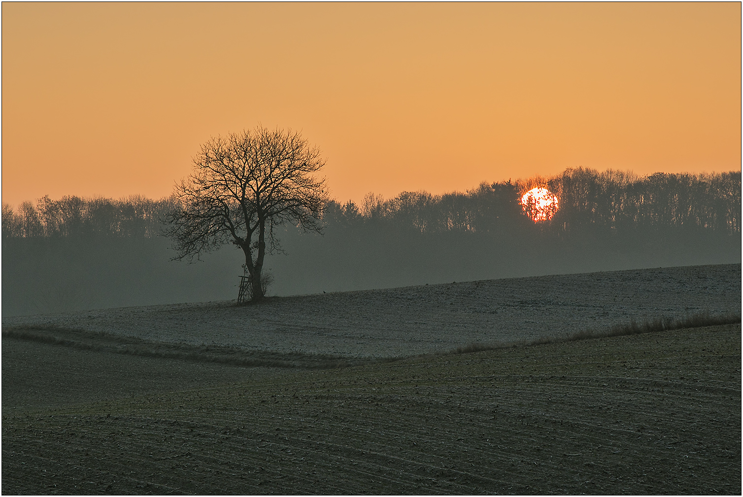 Herbst