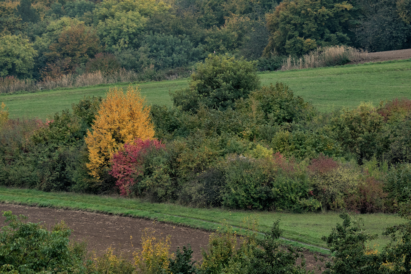 *** Herbst ***