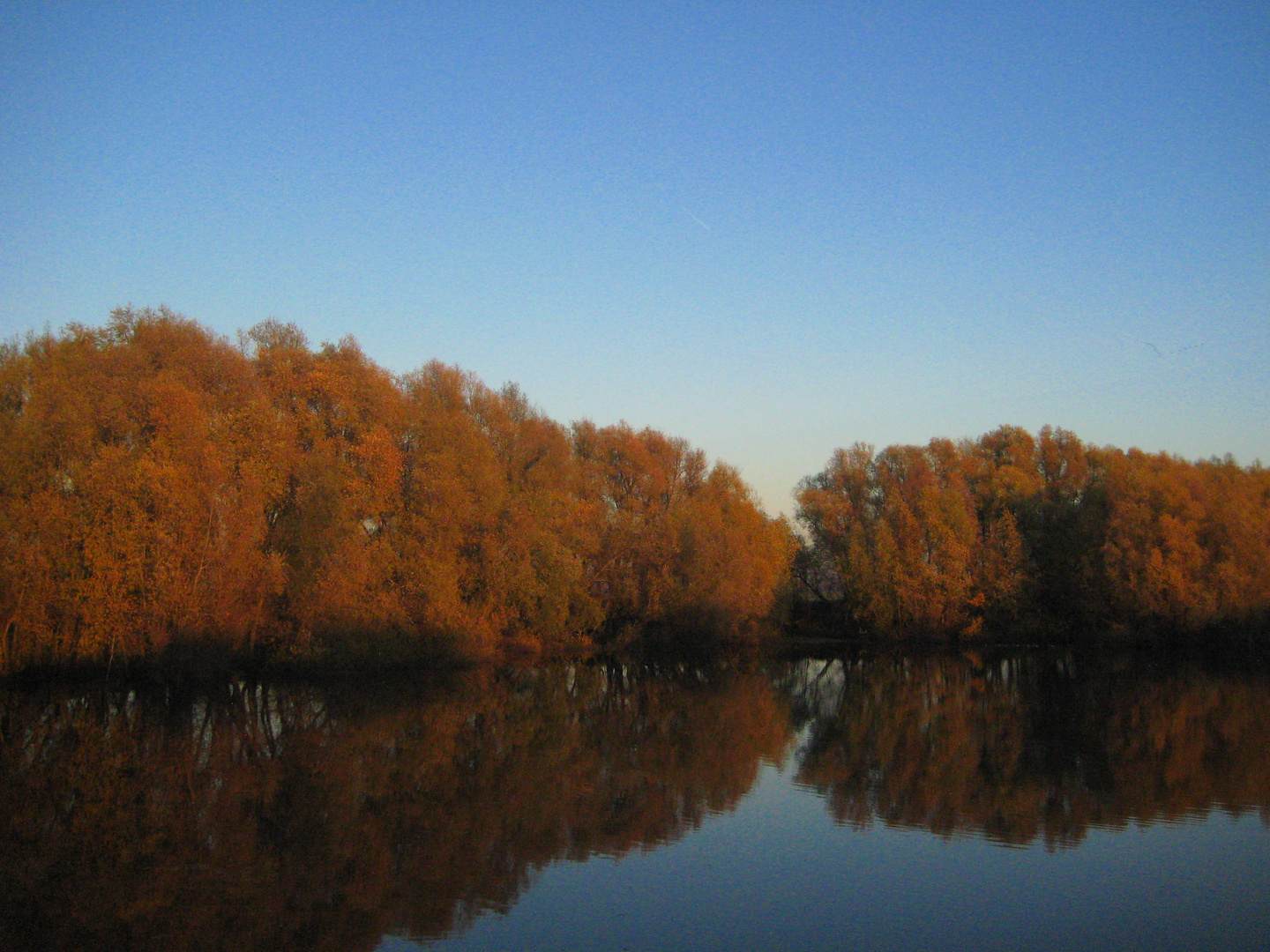 Herbst