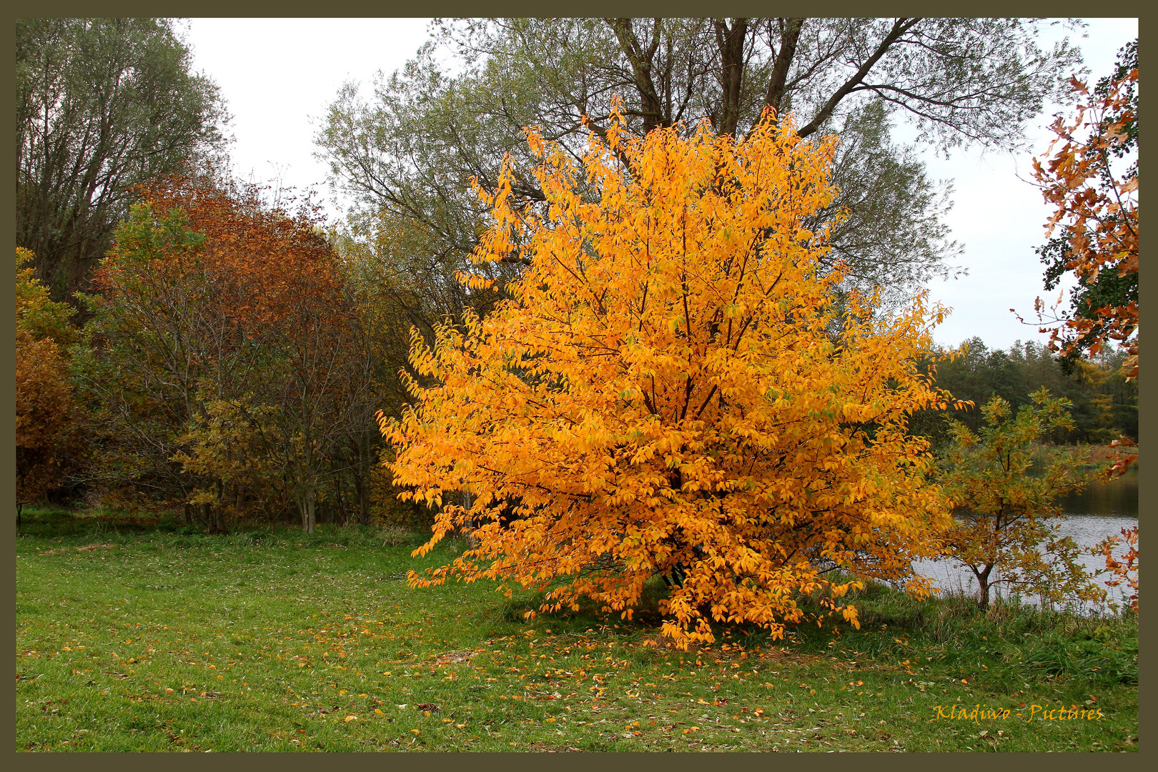 Herbst 05