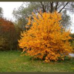 Herbst 05