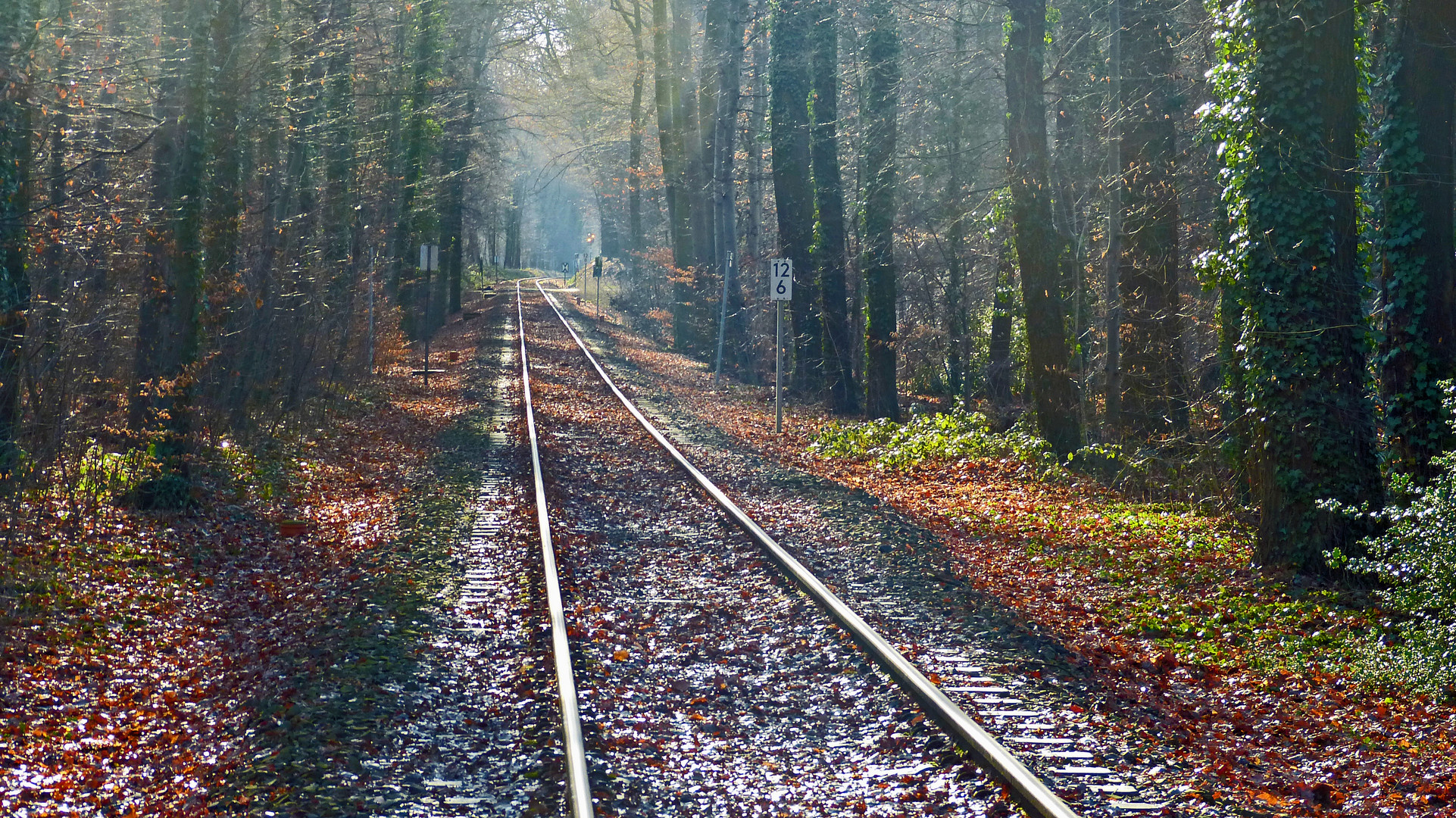 Herbst