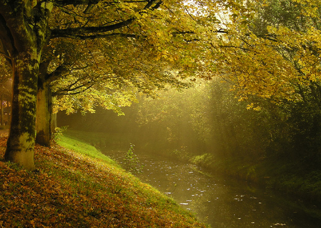 Herbst