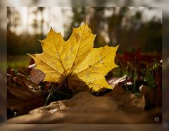 Herbst 06