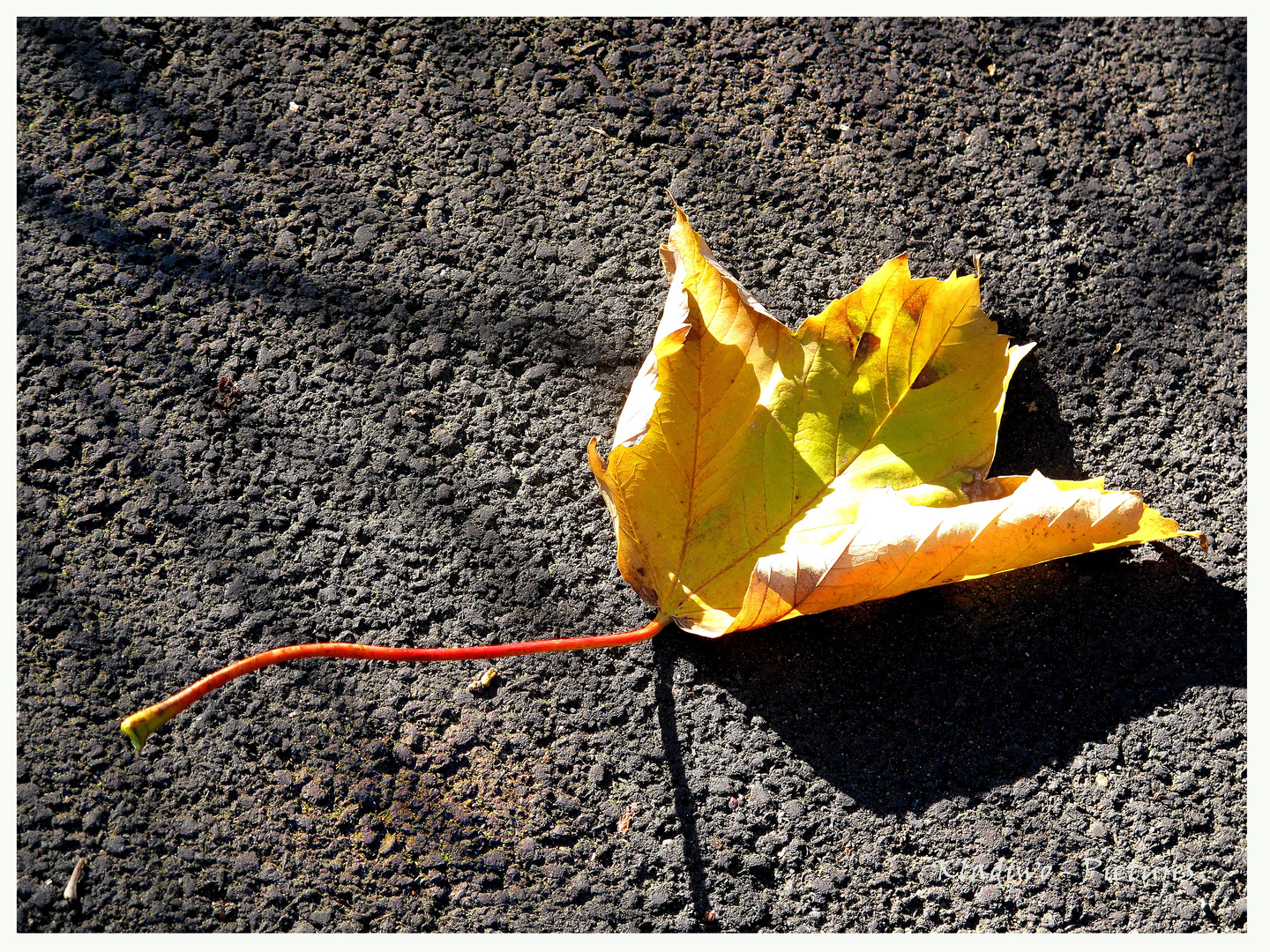 Herbst 06